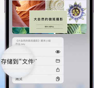 巫溪apple维修中心分享iPhone文件应用中存储和找到下载文件