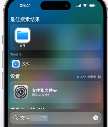 巫溪apple维修中心分享iPhone文件应用中存储和找到下载文件