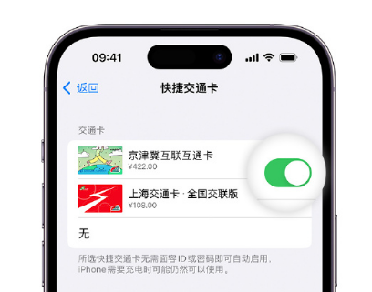 巫溪apple维修点分享iPhone上更换Apple Pay快捷交通卡手绘卡面 