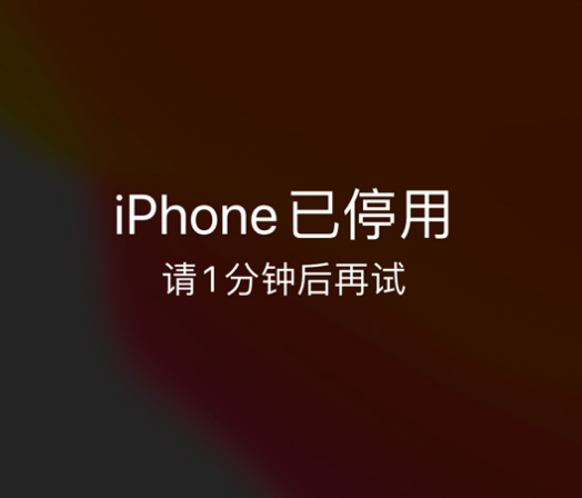 巫溪苹果手机维修分享:iPhone 显示“不可用”或“已停用”怎么办？还能保留数据吗？ 