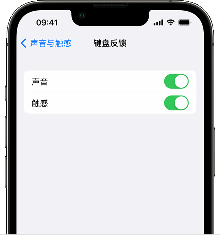 巫溪苹果14维修店分享如何在 iPhone 14 机型中使用触感键盘 