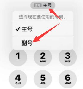 巫溪苹果14维修店分享iPhone 14 Pro Max使用副卡打电话的方法 