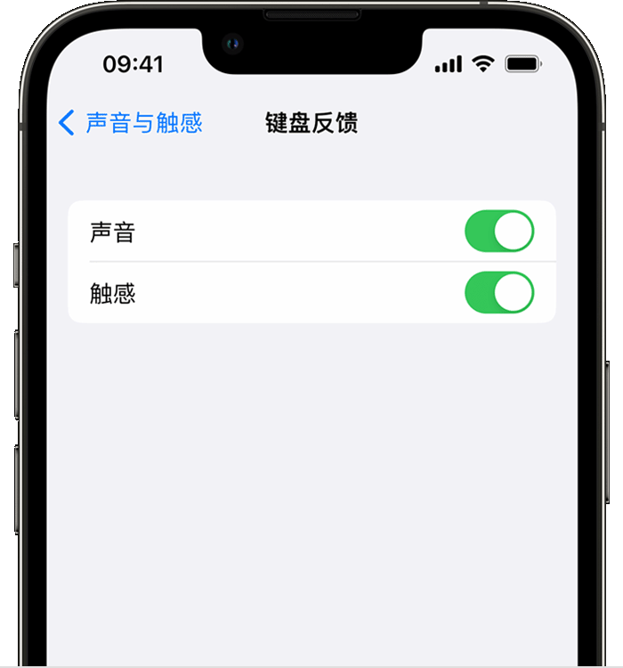 巫溪苹果14维修分享iPhone 14 系列机型如何开启键盘声音或触感反馈 
