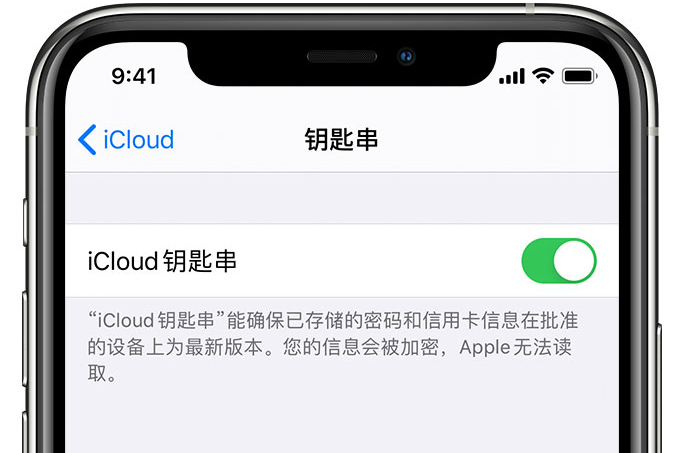 巫溪苹果手机维修分享在 iPhone 上开启 iCloud 钥匙串之后会储存哪些信息 