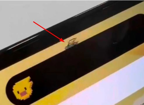 巫溪苹果14维修分享iPhone 14 Pro Max灵动岛怎么养宠物 