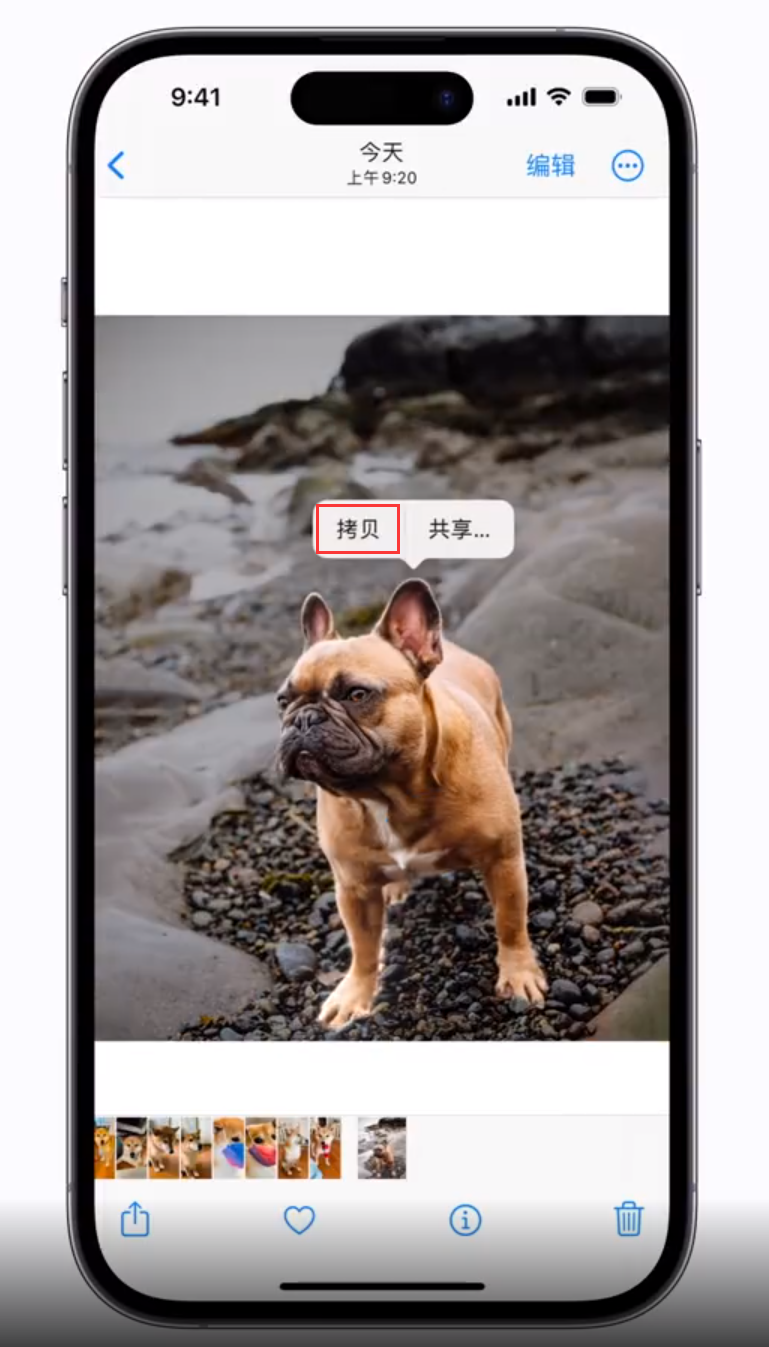 巫溪苹果手机维修分享 iOS 16 自带一键抠图功能 