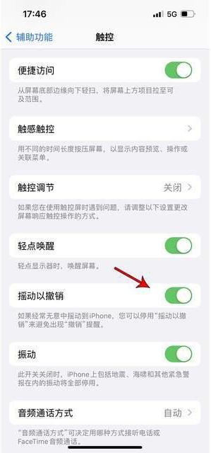 巫溪苹果手机维修分享iPhone手机如何设置摇一摇删除文字 