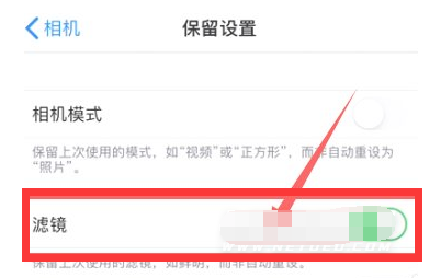 巫溪苹果13维修分享iPhone13拍照有绿点是怎么回事 