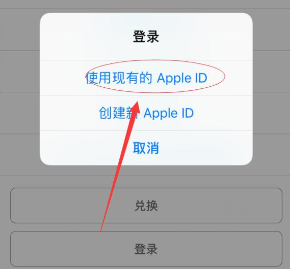 巫溪苹果手机维修分享两台iPhone设备可以同时登录一个Apple ID吗 