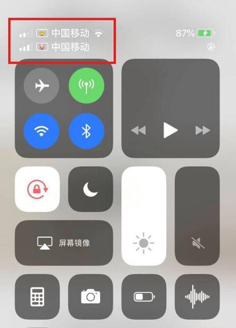 巫溪苹果手机维修分享为 iPhone 12 双卡设置标签 