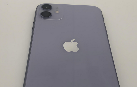 巫溪苹果11系统维修分享iPhone11手机系统崩溃无法开机如何解决 